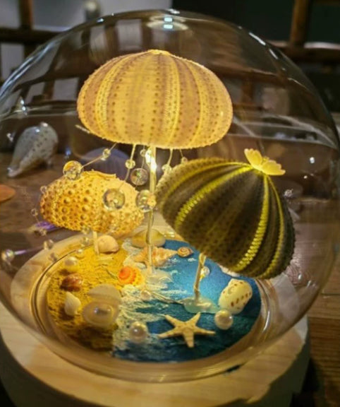 Nachtlicht Seeigel-Muschel – Bild 4 | LuxeStyle