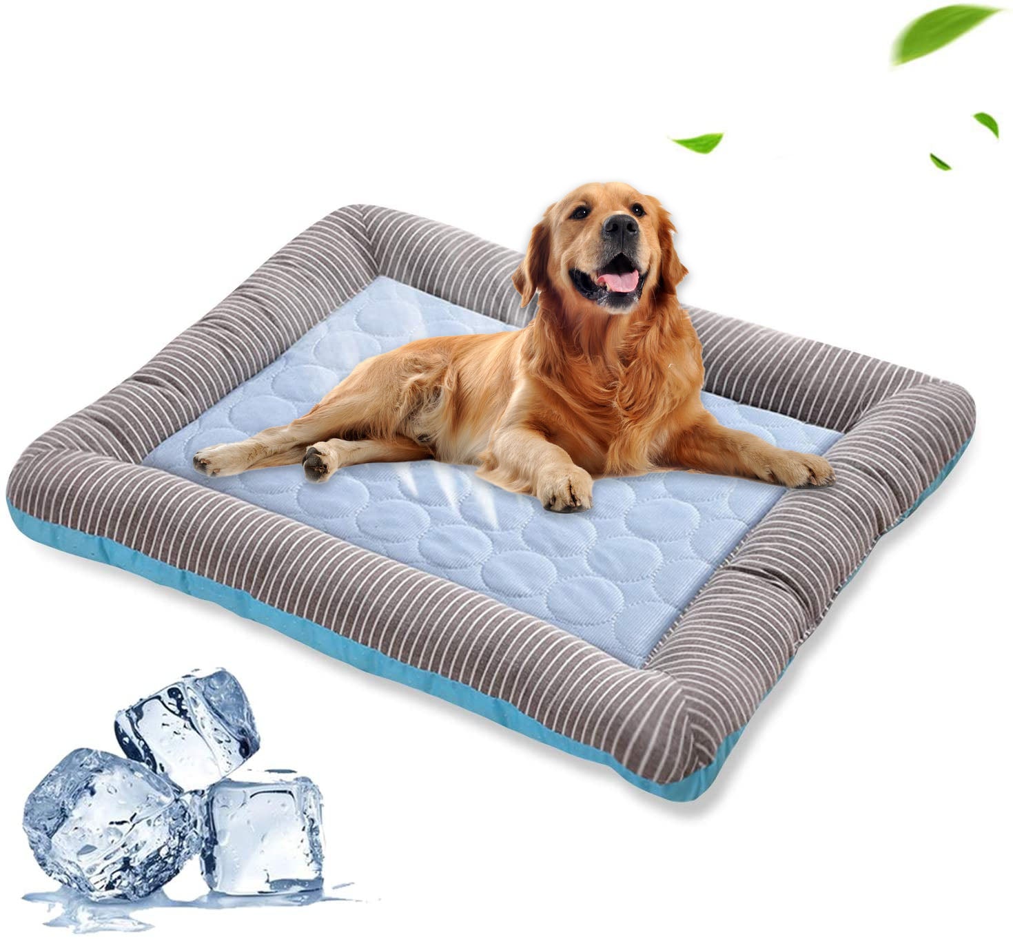 Kühlendes Pet-Bett für Sommer