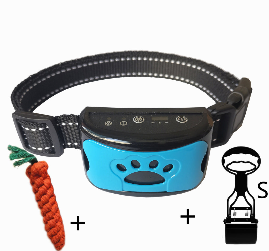 Hundestraining-Kollektiv – Bild 8 | LuxeStyle