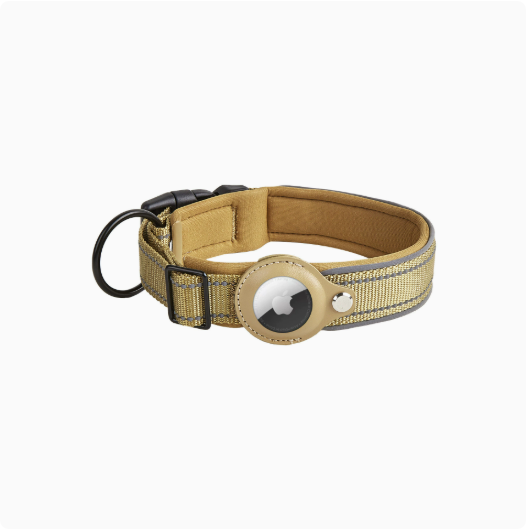 Reflektierendes Nylon-Halsband, verstellbar