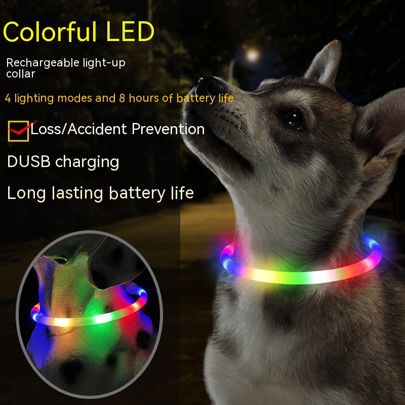 LED-Hundehalsband Fashion – Bild 2 | LuxeStyle