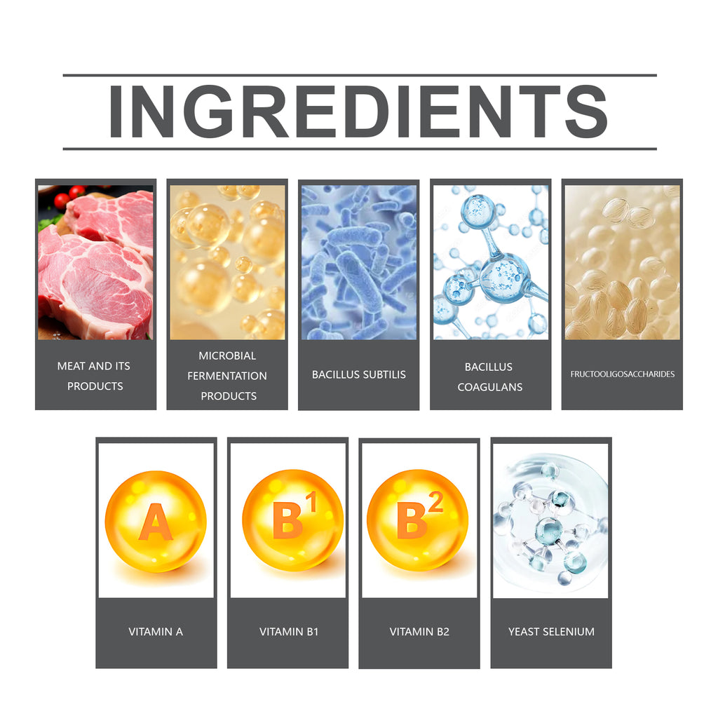 Probiotika-Tabletten
