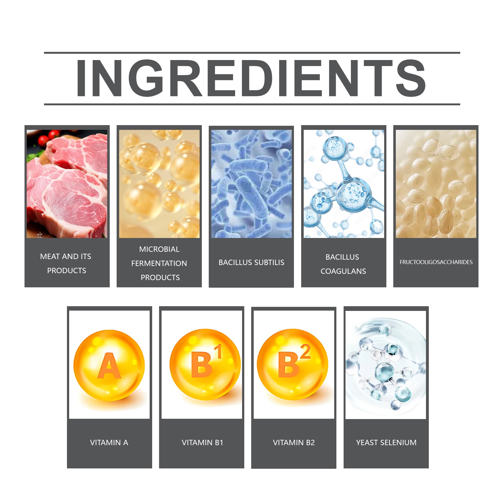 Probiotika-Tabletten