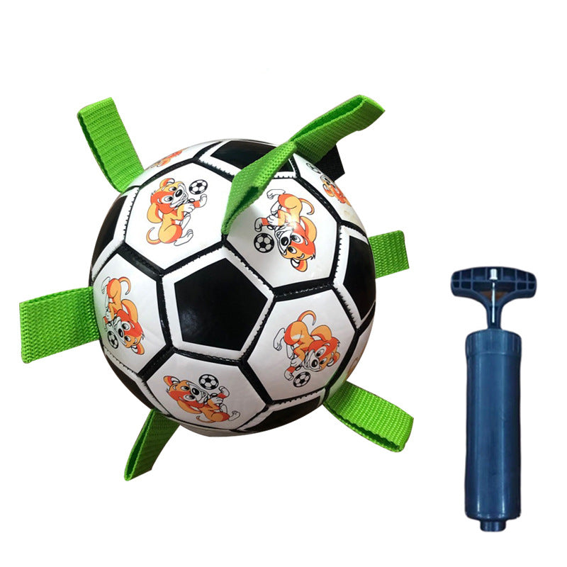 Fussball-Spielzeug für Hunde – Bild 1 | LuxeStyle