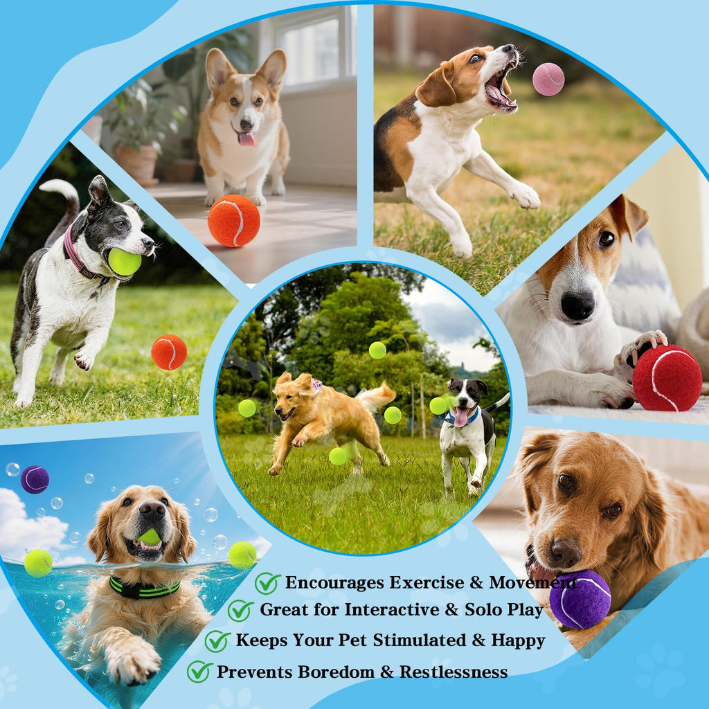 Farbige Tennisbälle für Hunde