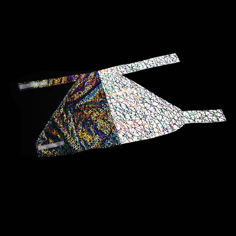 Reflektierende Haustierkleidung