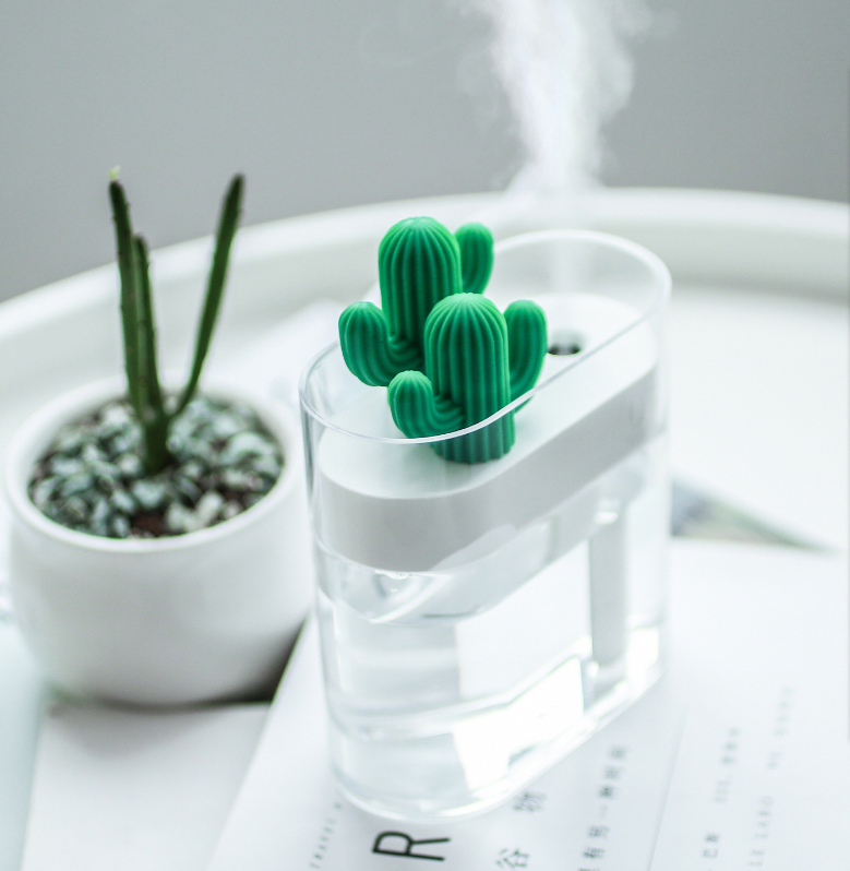 Transparenter Kaktus Luftbefeuchter – Bild 5 | LuxeStyle