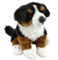 Plüsch Berner Sennenhund