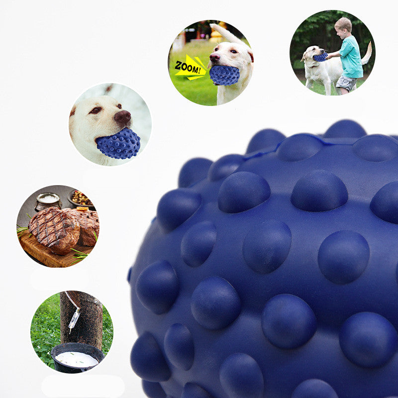 Robustes Hunde- & Katzenspielzeug mit Rindfleischaroma