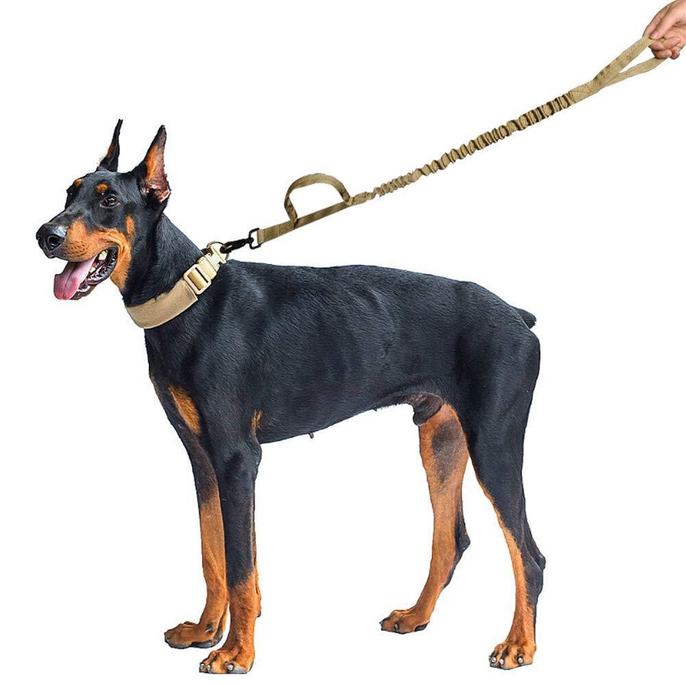 Elastische Trainingsleine für Hunde – Bild 8 | LuxeStyle