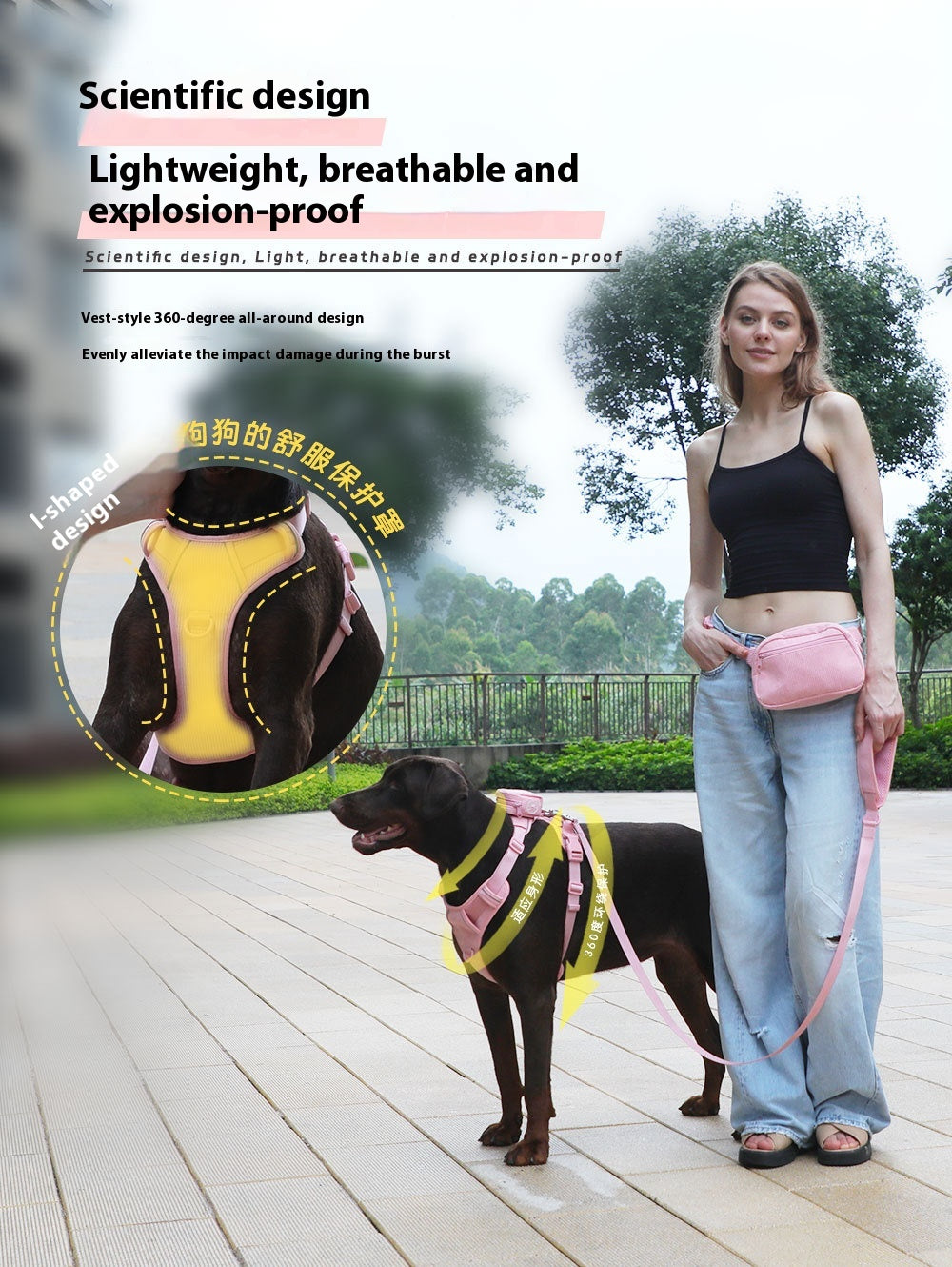 Hundegeschirr-Set aus Cord, Rosa – Bild 1 | LuxeStyle