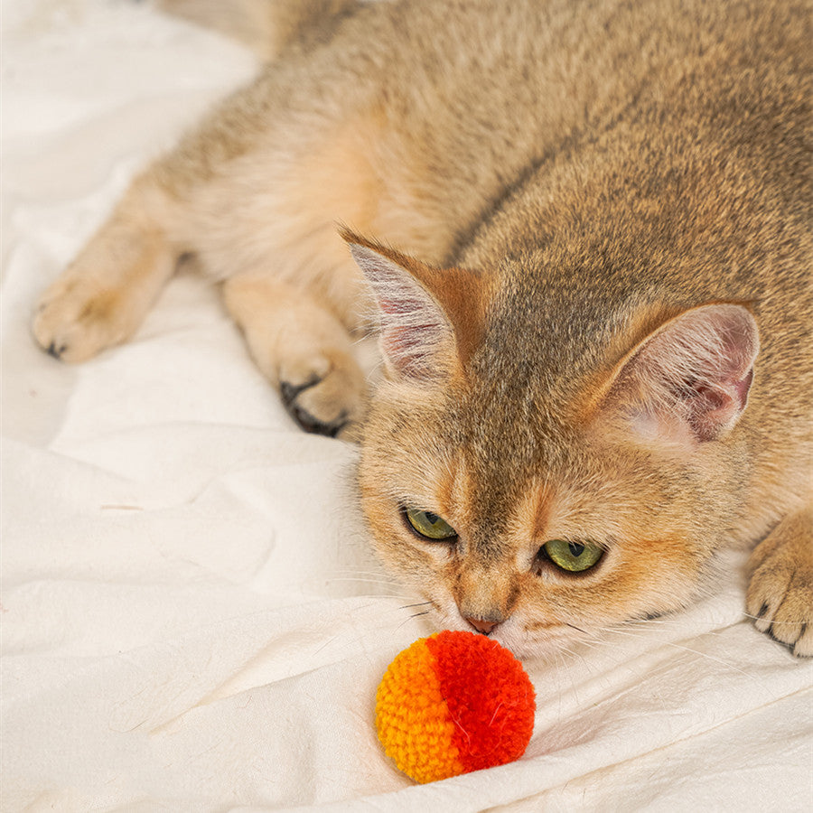 Leises Katzen-Haarball-Spielzeug – Bild 7 | LuxeStyle