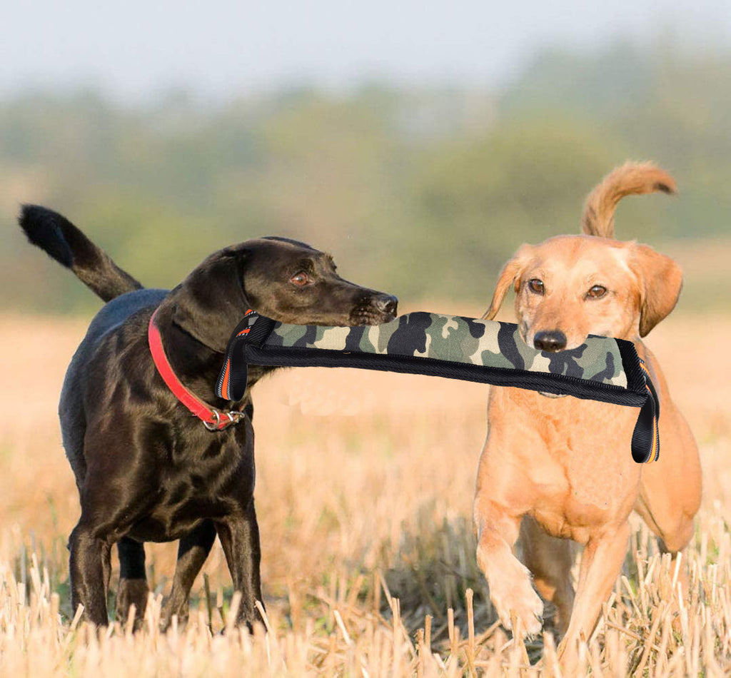 Hanf-Biss-Stick für Hunde