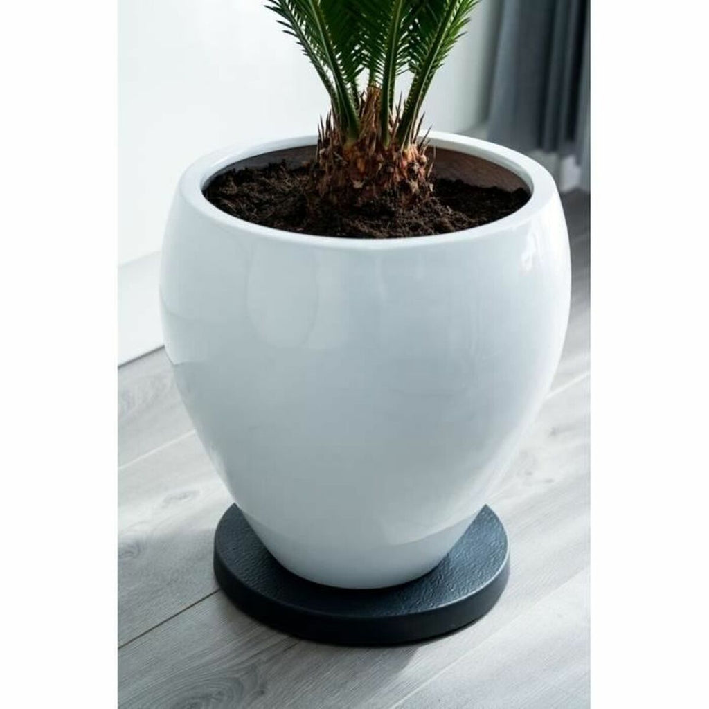 Blumentopfhalterung mit Rädern Nature Schwarz Polypropylen
