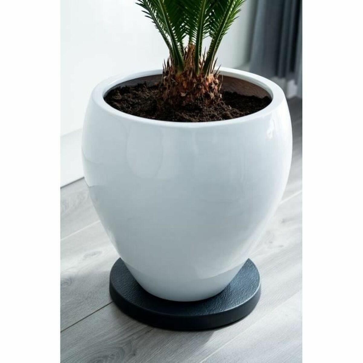 Blumentopfhalterung mit Rädern Nature Schwarz Polypropylen