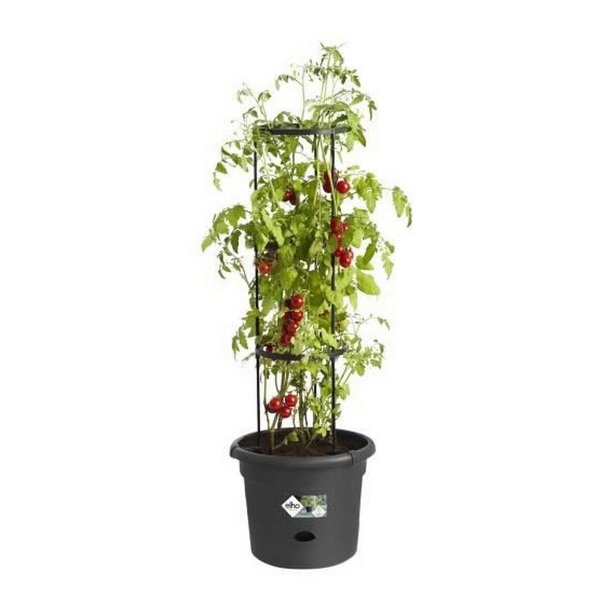 Blumentopf Elho Basics Tomato Schwarz