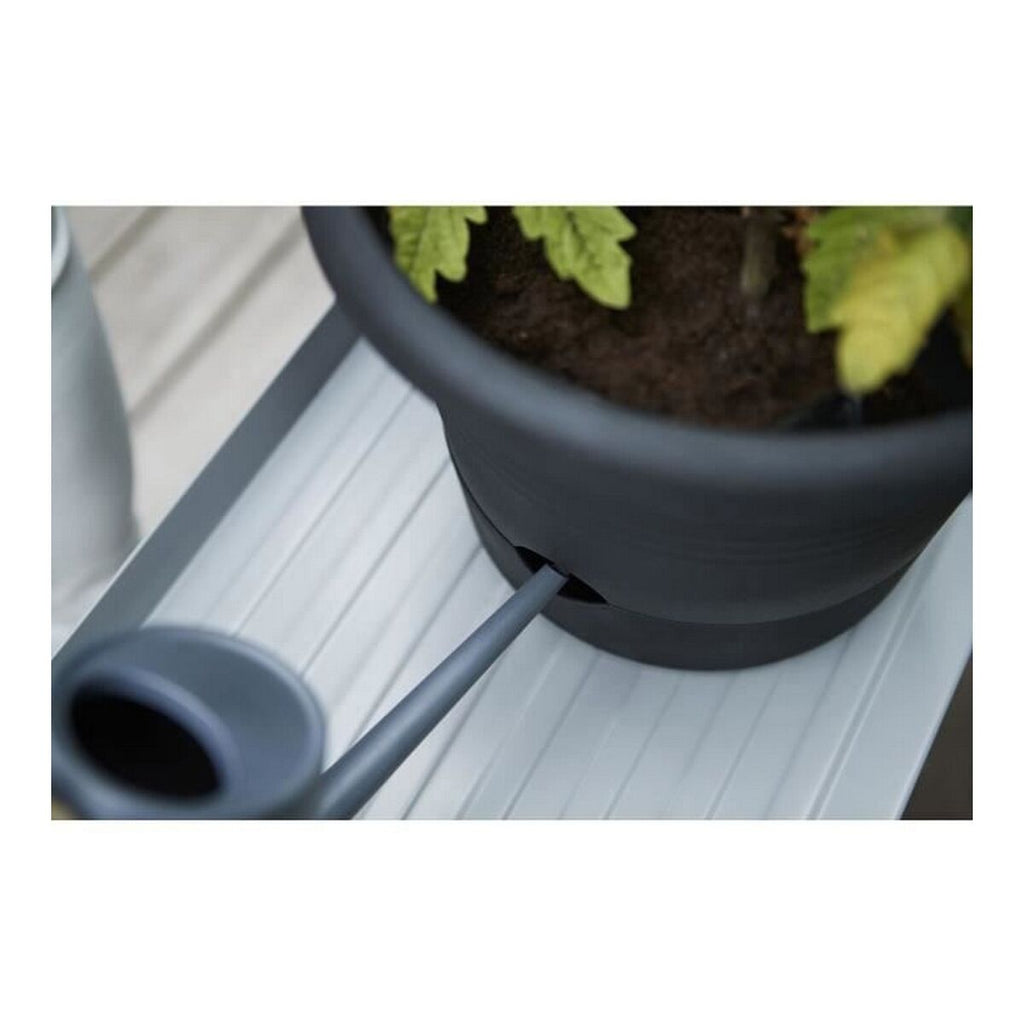 Blumentopf Elho Basics Tomato Schwarz