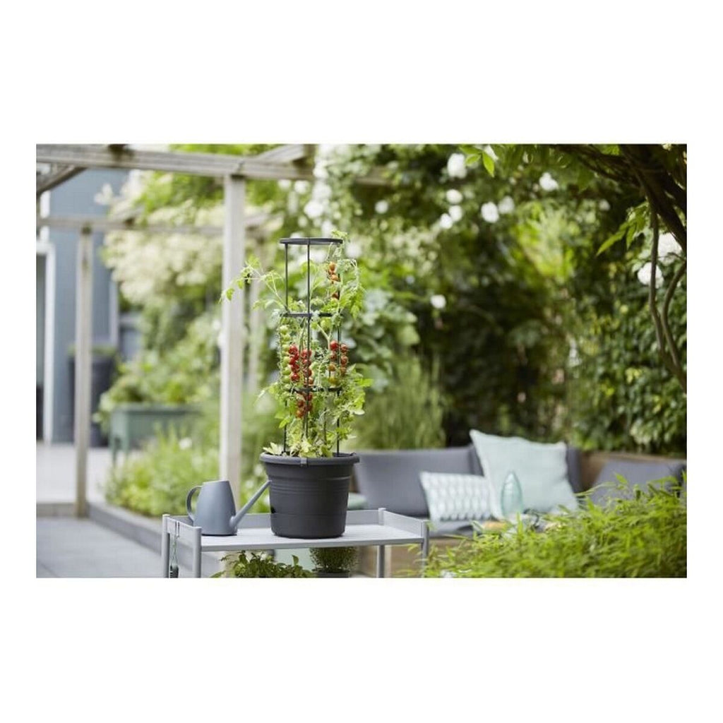 Blumentopf Elho Basics Tomato Schwarz