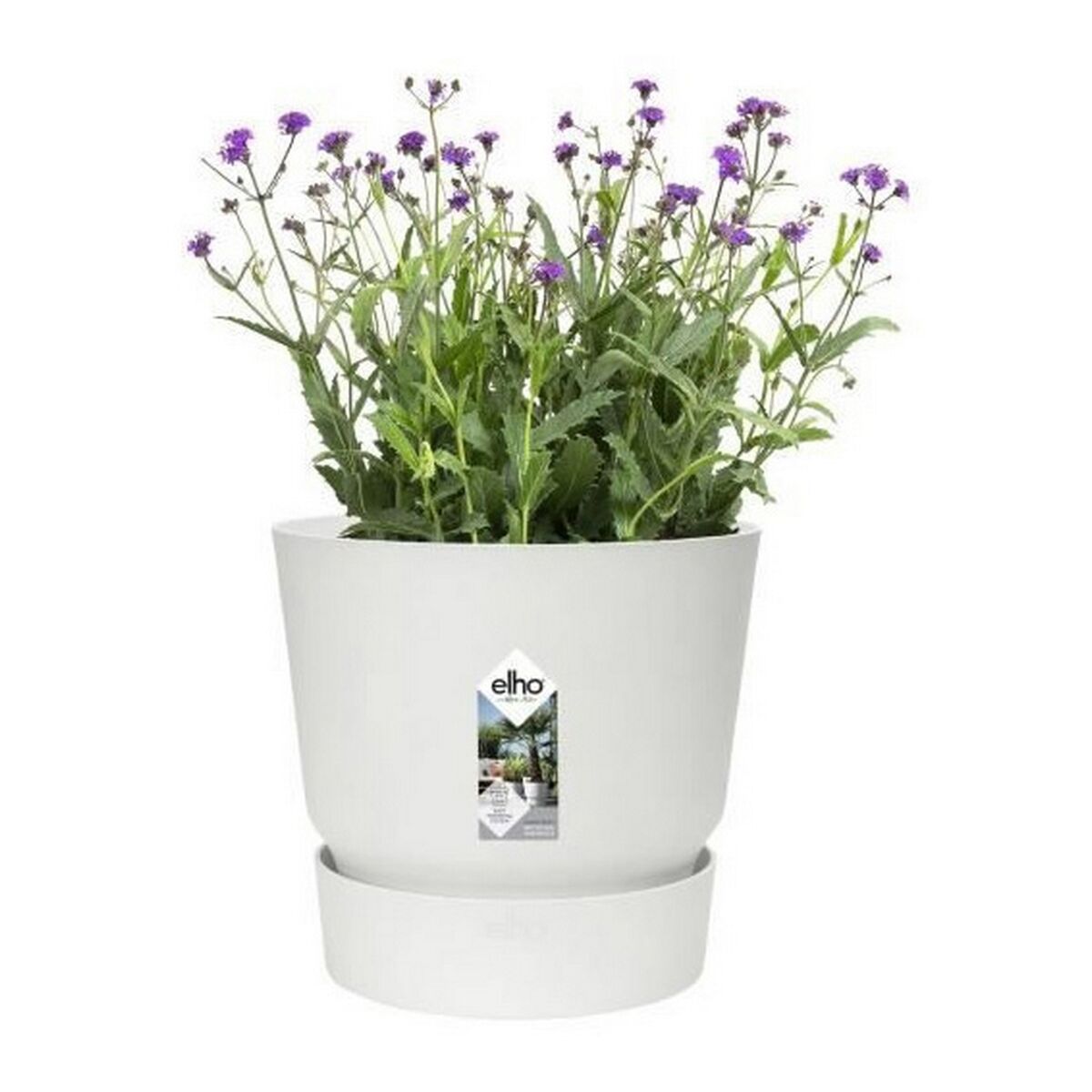 Weißer Blumentopf mit Teller – Sauberkeit garantiert – Ansicht 4