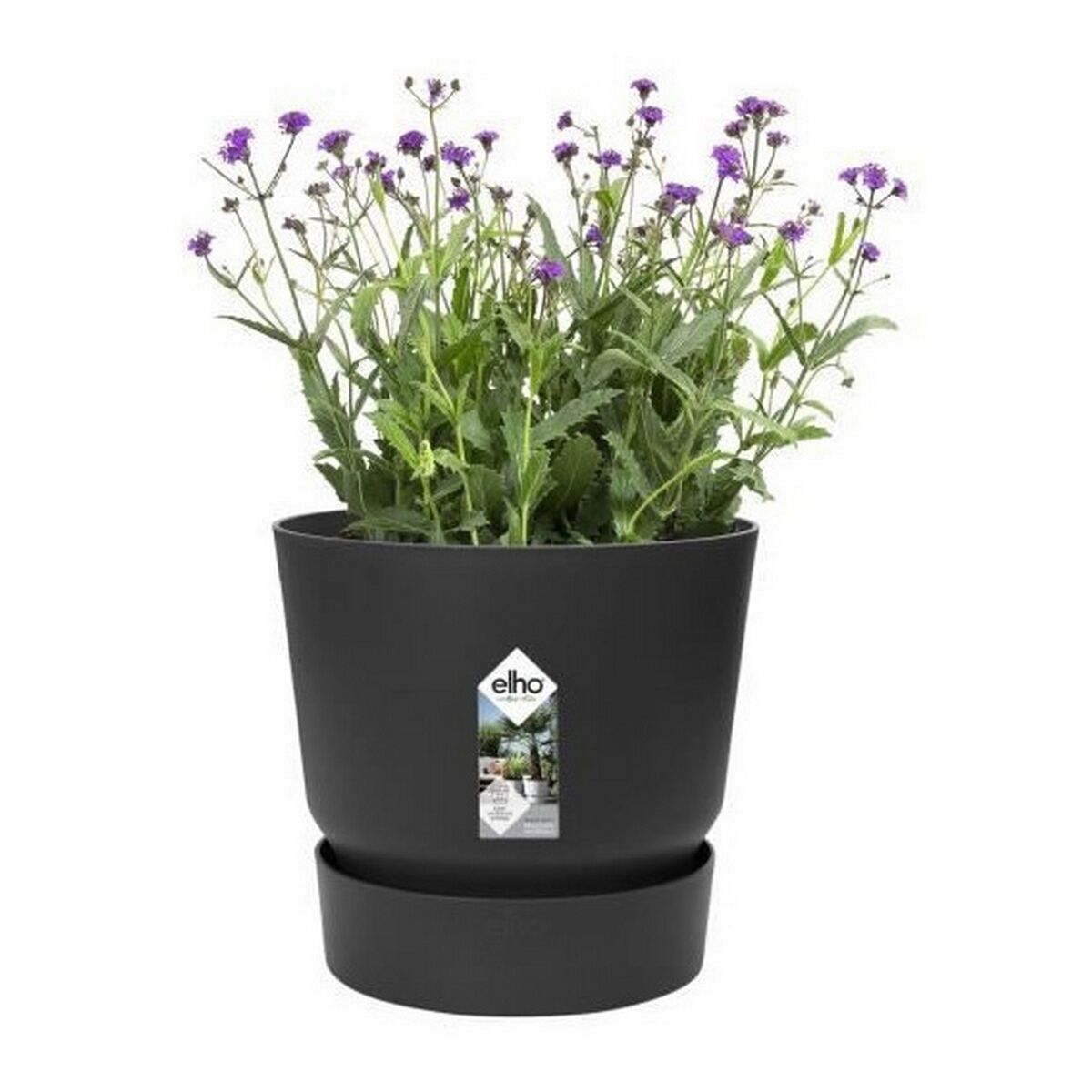 Blumentopf Elho Greenville Schwarz Kunststoff rund kreisförmig Ø 40 cm