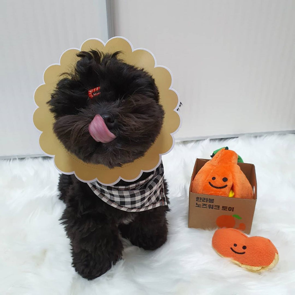 Ugly Orange Schnüffelspielzeug für Hunde – Bild 3 | LuxeStyle