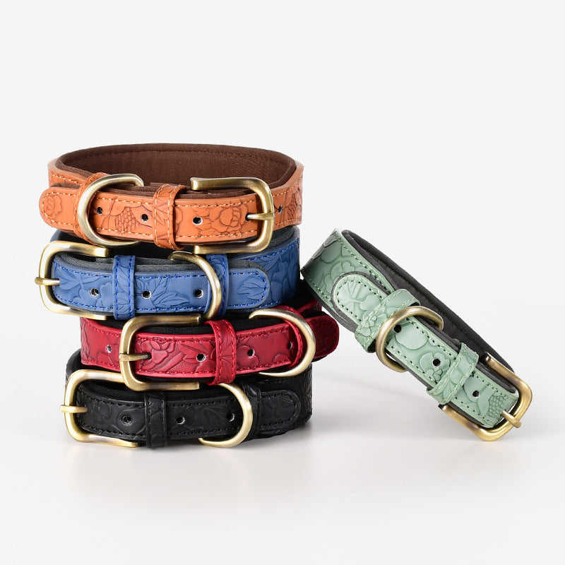 Halsband für Hunde aus gemustertem Leder