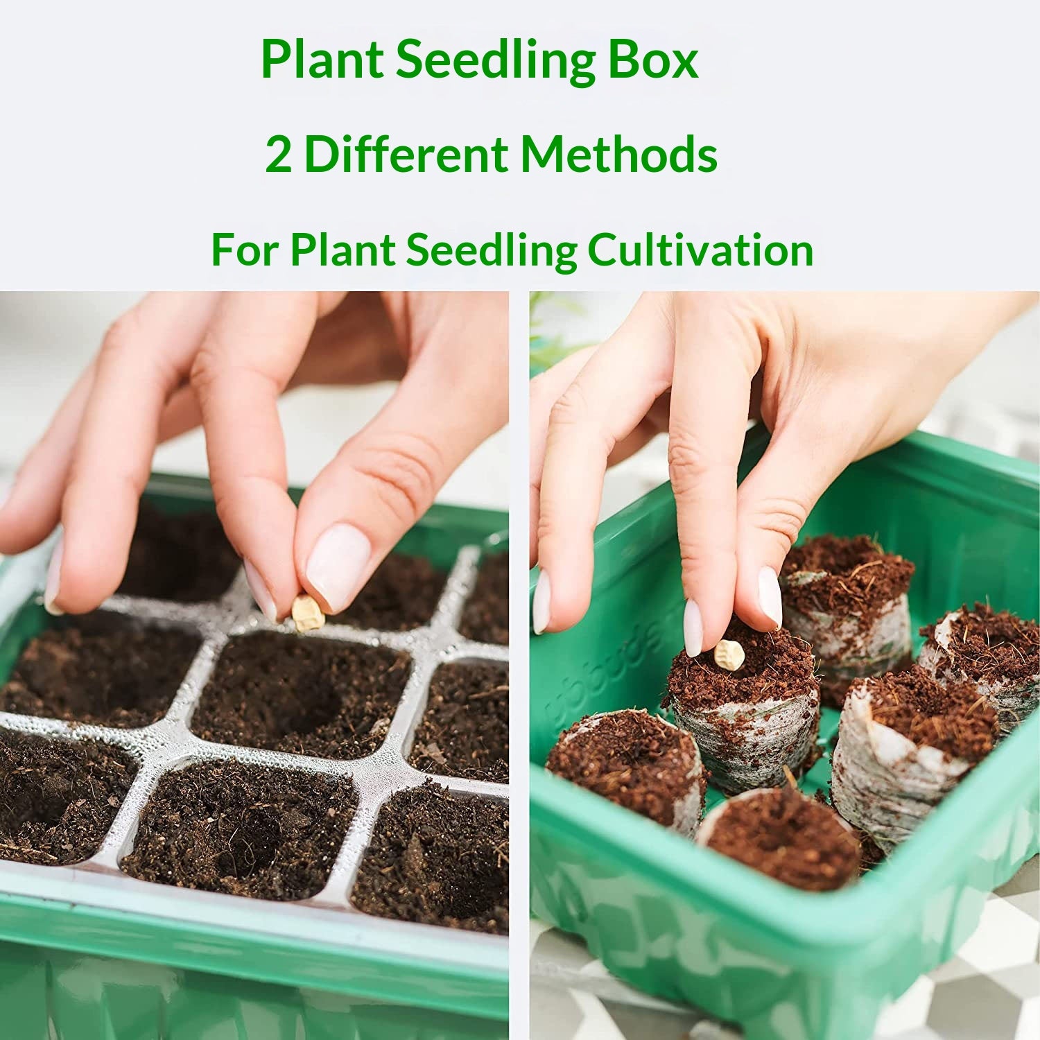 Seedling Tray Grow Light