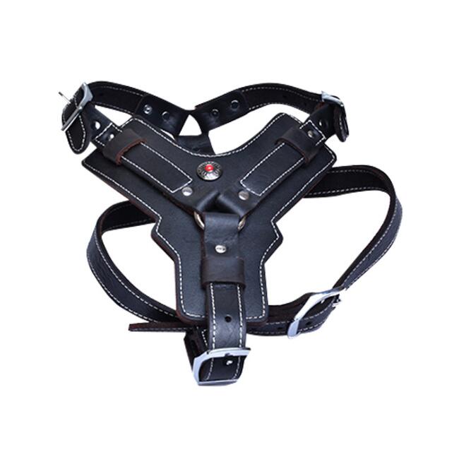 Hundegeschirr aus echtem Leder – Bild 6 | LuxeStyle