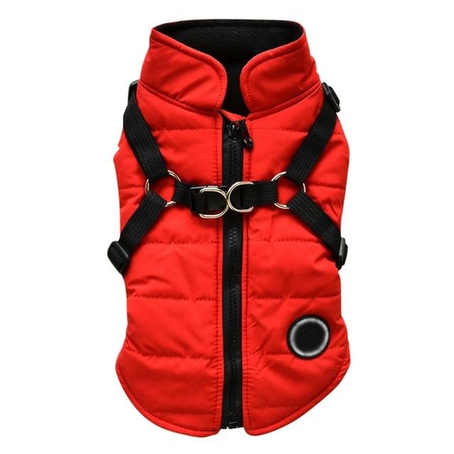 Hunde-Reissverschlussjacke mit integriertem Geschirr