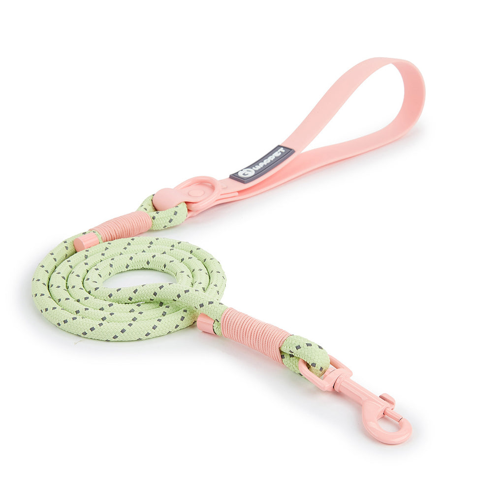 Hundeleine aus PVC – Bild 11 | LuxeStyle