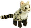 Plüsch Ginsterkatze