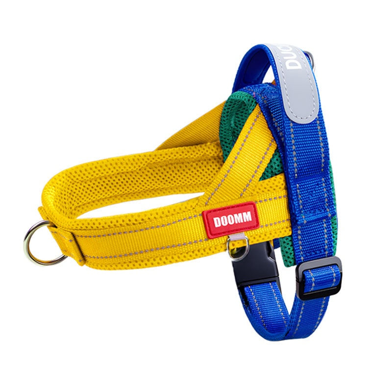 Kontrastfarbenes Hundehalsband mit Reflektor