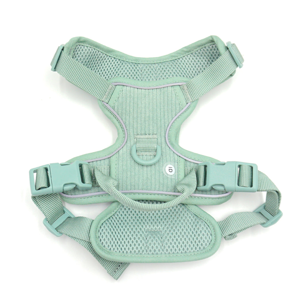 Hundegeschirr-Set mit Leine und Tasche – Bild 8 | LuxeStyle