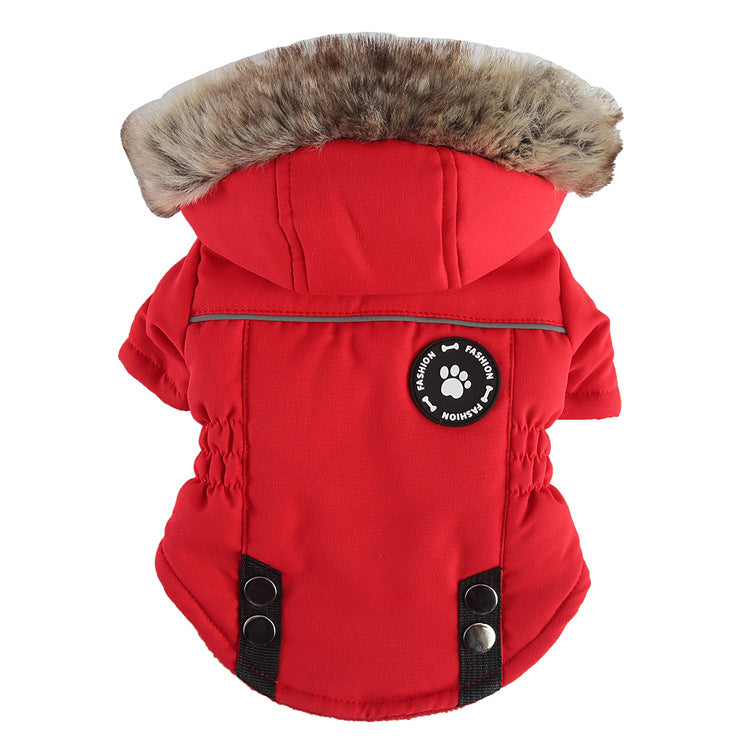 Hunde-Baumwolljacke mit Reissverschluss – Bild 4 | LuxeStyle