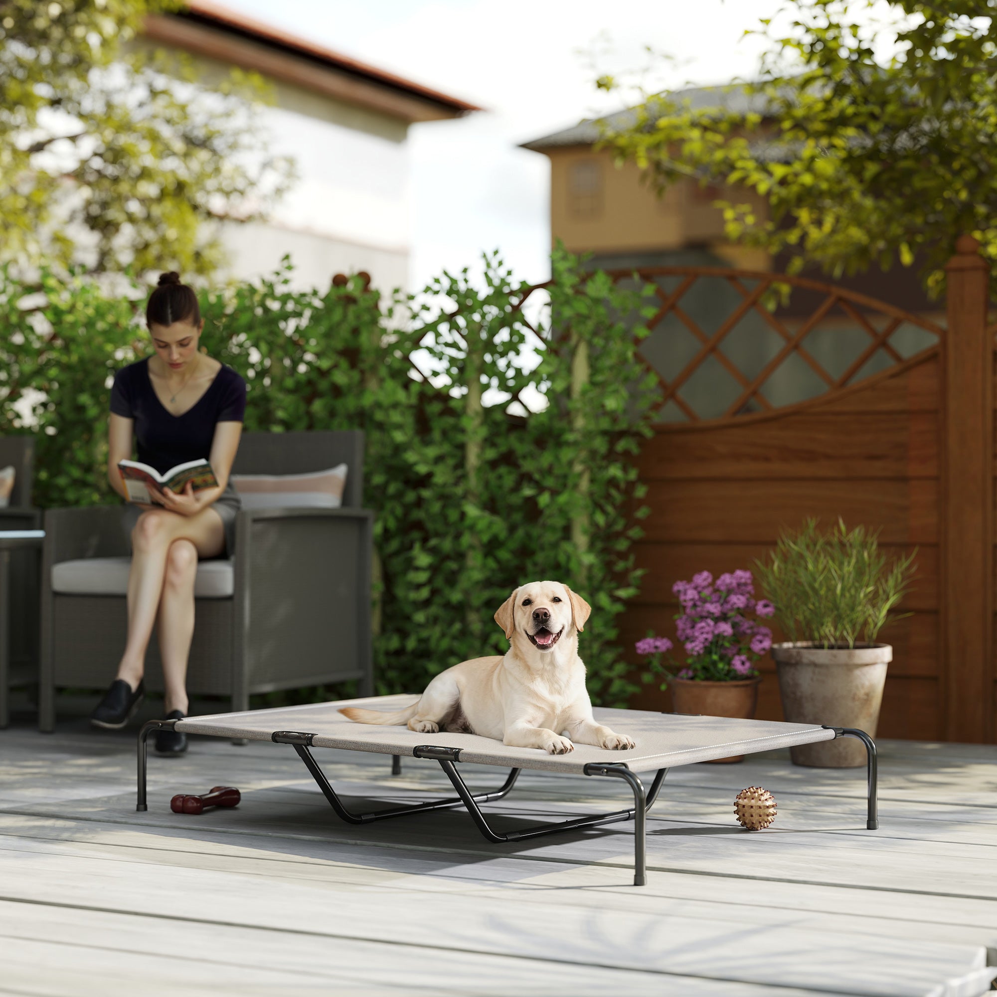 Erhöhtes Hundebett für grosse Hunde, Beige