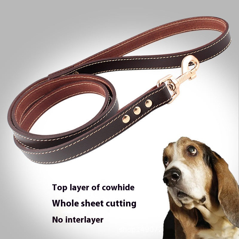 Hautleder Halsband für Hunde – Bild 2 | LuxeStyle