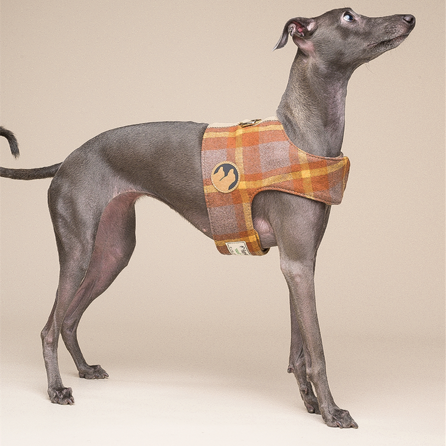 Hundegeschirr mit Leine für kleine Hunde – Bild 4 | LuxeStyle