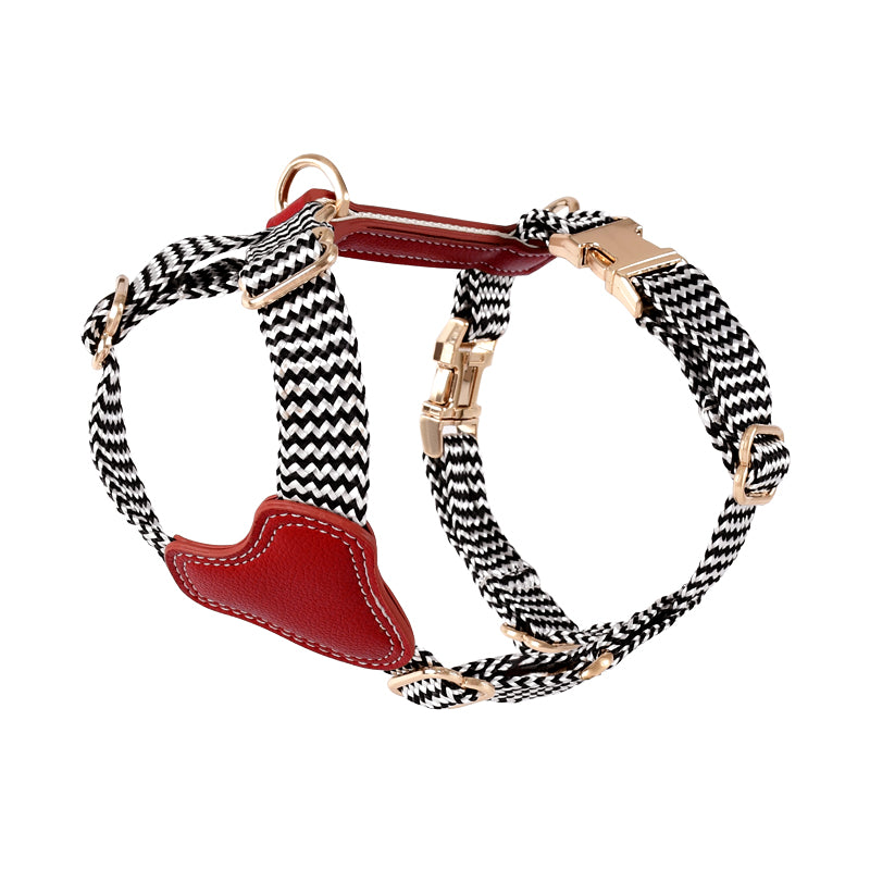 Halsband oder Brustgeschirr mit Leine für Hunde – Bild 16 | LuxeStyle