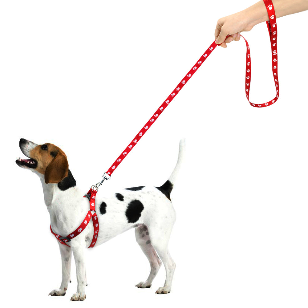 Nylon Hundegeschirr mit Leine – Pfotenabdruck – Bild 5 | LuxeStyle