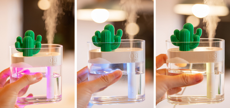 Transparenter Kaktus Luftbefeuchter – Bild 3 | LuxeStyle