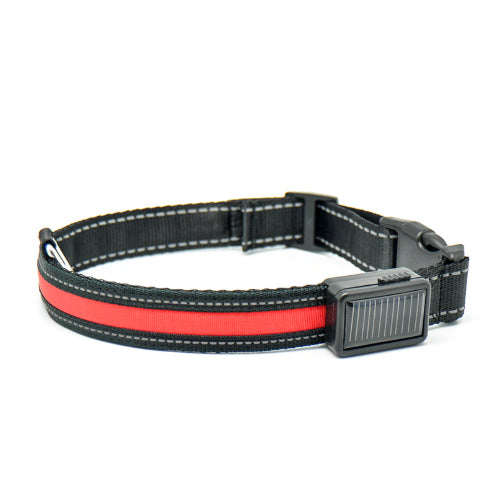 Leuchtendes Hundehalsband mit Solar- und USB-Ladefunktion – Bild 13 | LuxeStyle