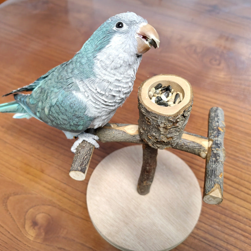 Vogel-Trainingsständer aus Massivholz
