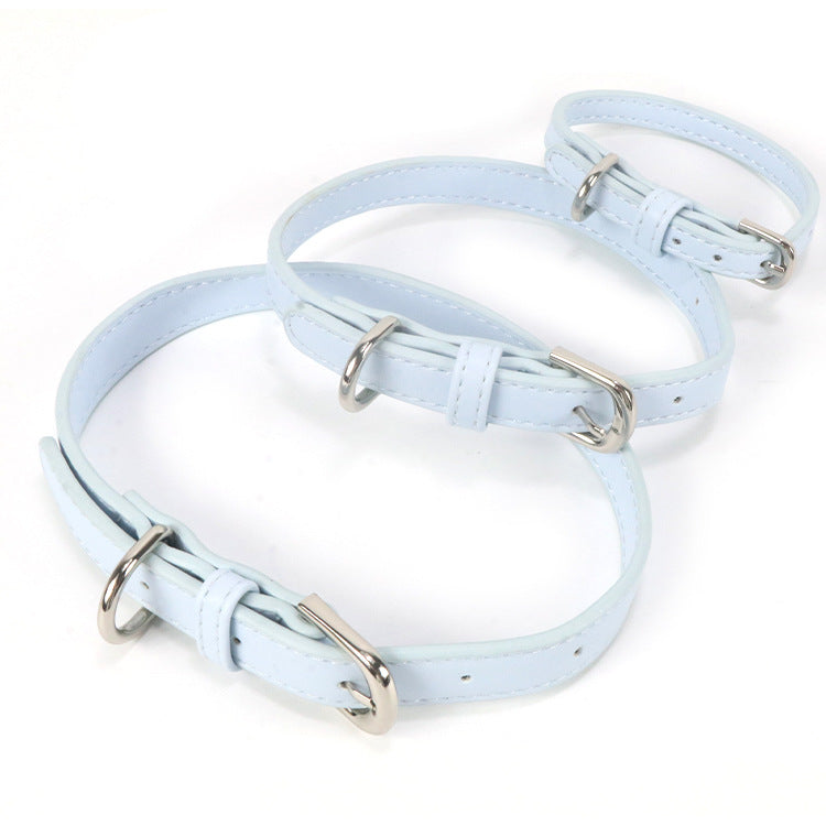 Halsband mit Zugseil für kleine bis mittelgrosse Hunde