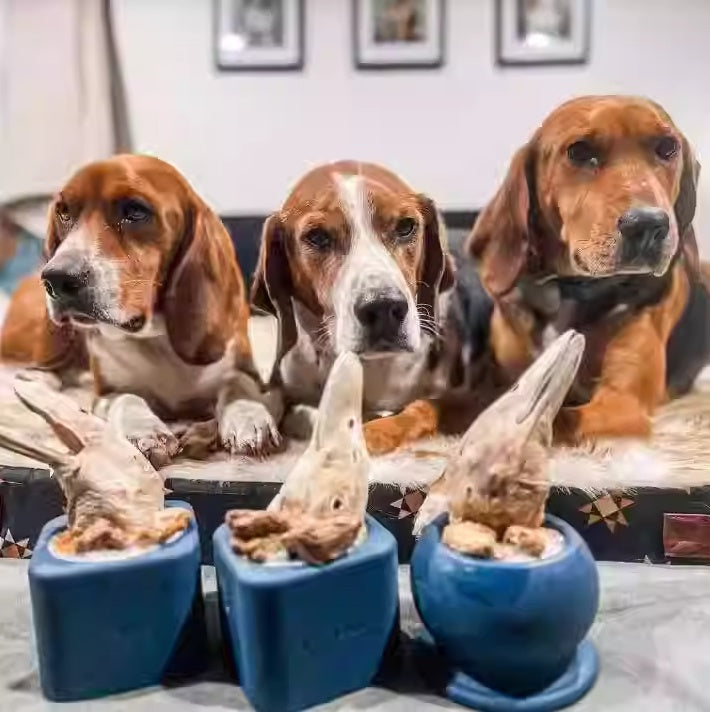Kau-Spielszeug für Hunde – Bild 4 | LuxeStyle
