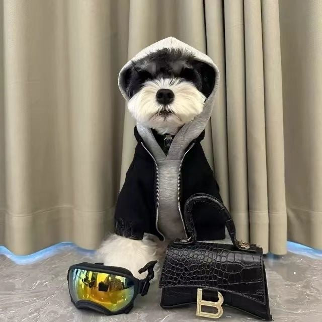 Hunde-Kapuzenpullover in Schwarz-Grau – Bild 3 | LuxeStyle
