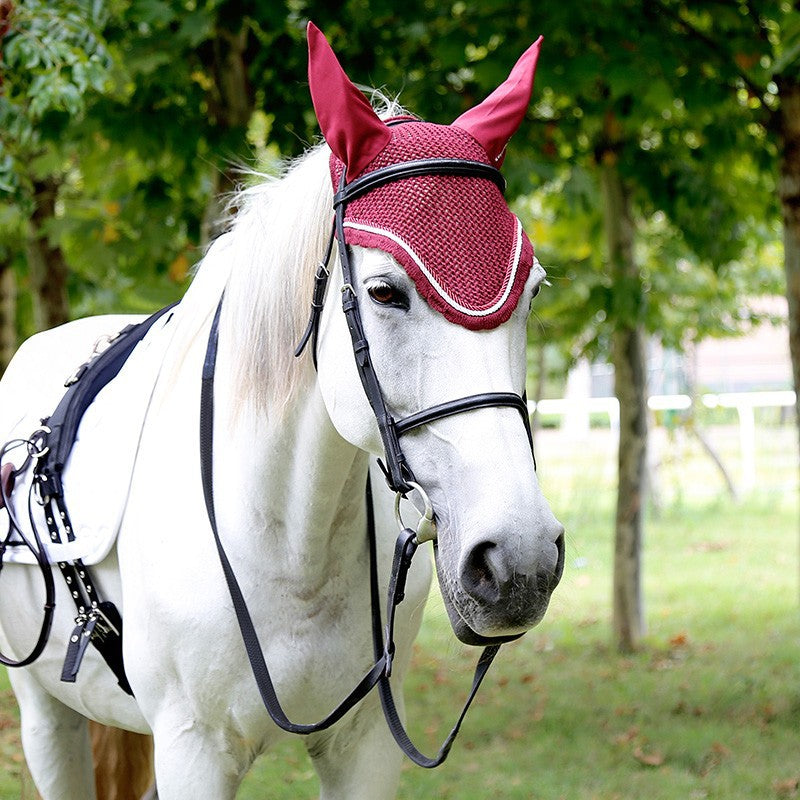 Reitpeitschenhose – Bild 1 | LuxeStyle