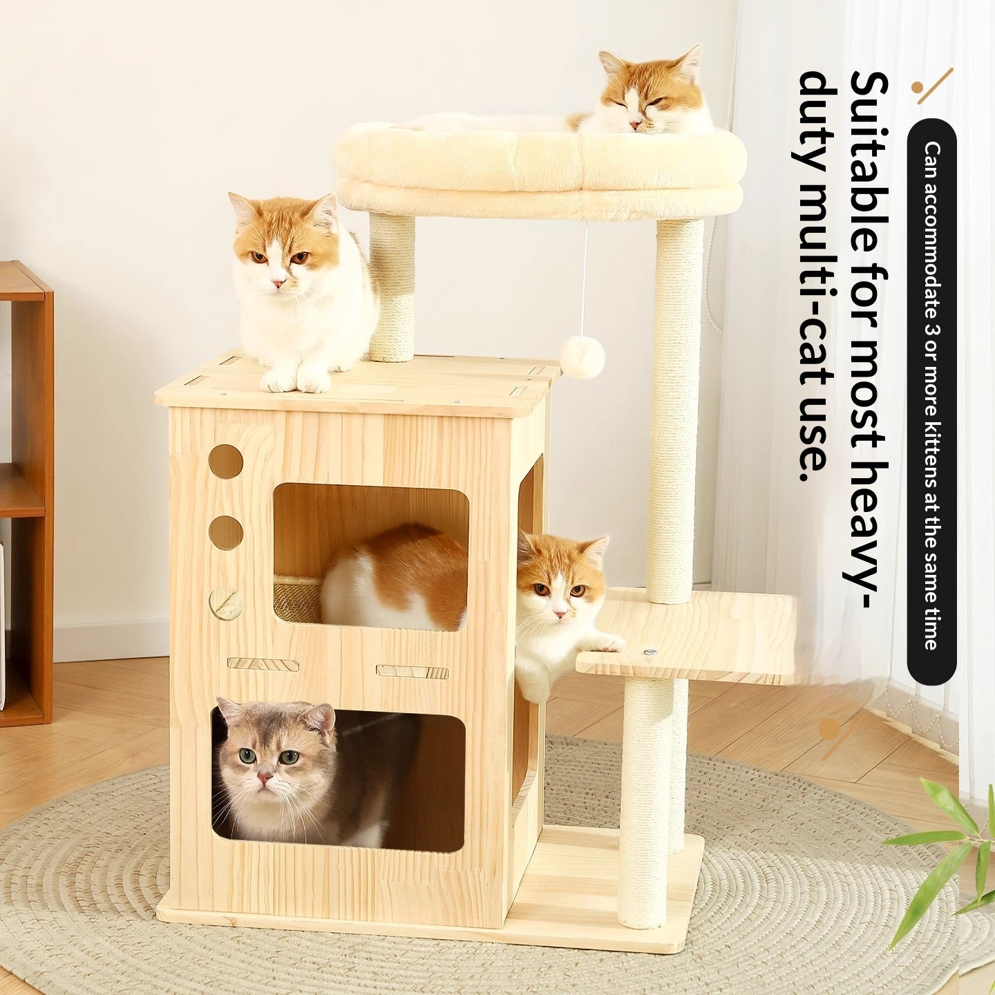 Massivholz Katzenbaum für kleine Wohnungen