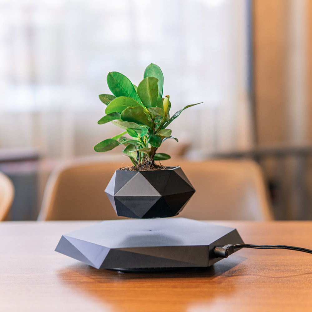 Schwebender Bonsai-Topf mit Magnet-Levitation