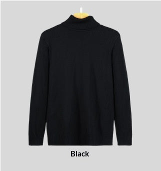 Herren Rollkragenpullover