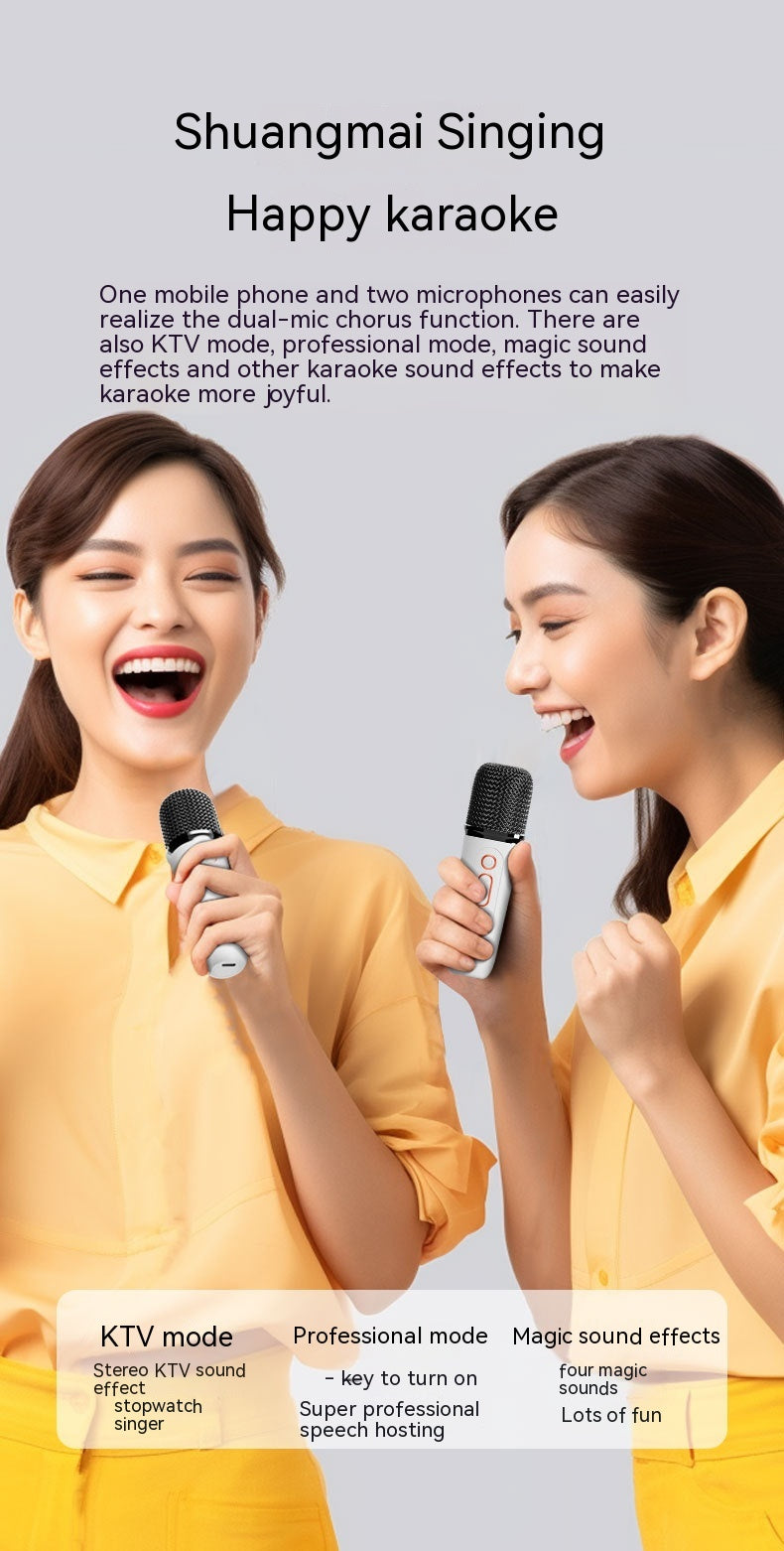 Mini Karaoke Sound Box mit integriertem Bluetooth Mikrofon